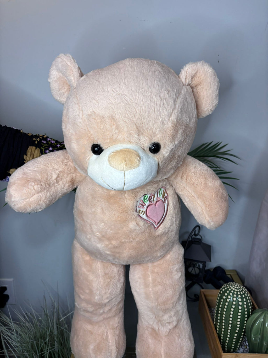 Teddy Bears