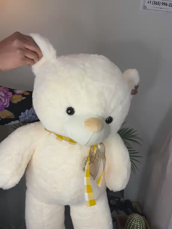 Teddy Bears